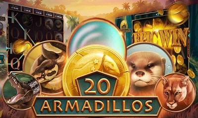 20 Armadillos