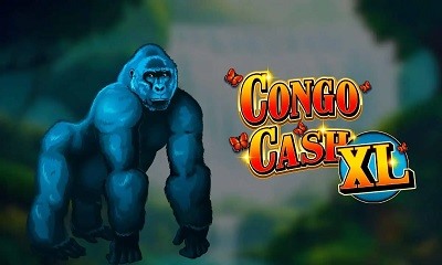 Congo Cash Xl