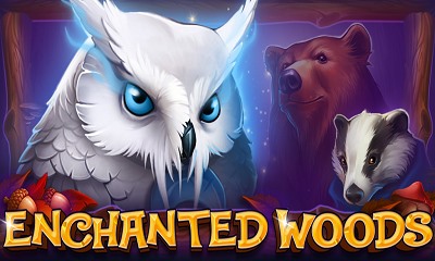 Enchanted Woods