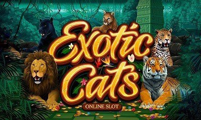 Exotic Cats