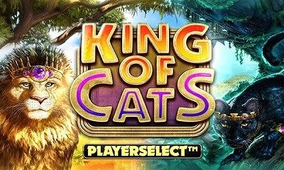 King of Cats