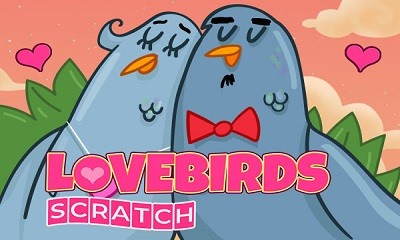 Love Birds