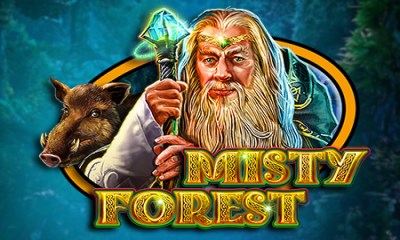 Misty Forest