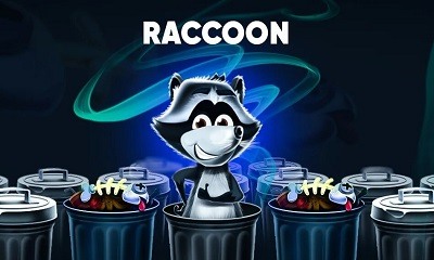 Raccoon