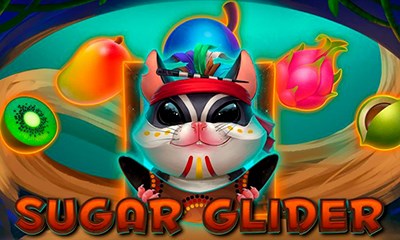 Sugar Glider
