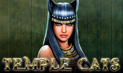 Temple Cats