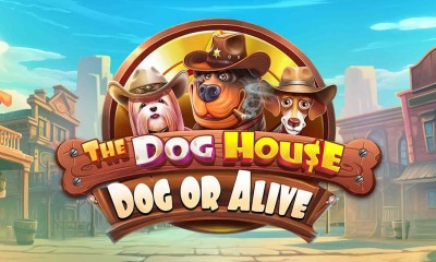The Dog House - Dog Or Alive