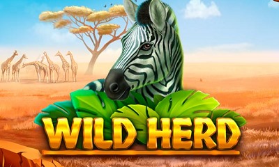 Wild Herd